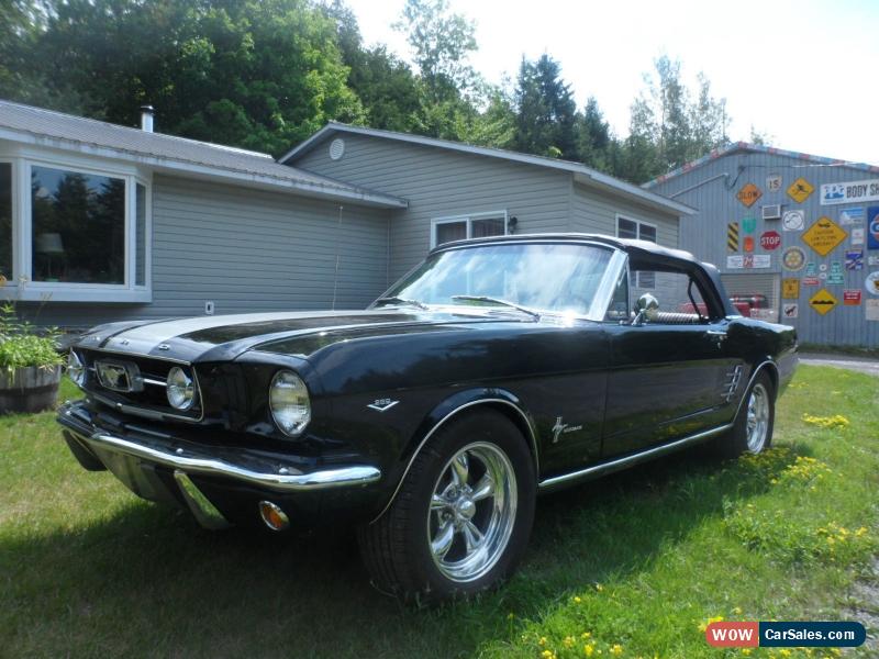 1966 Ford Mustang For Sale In Canada