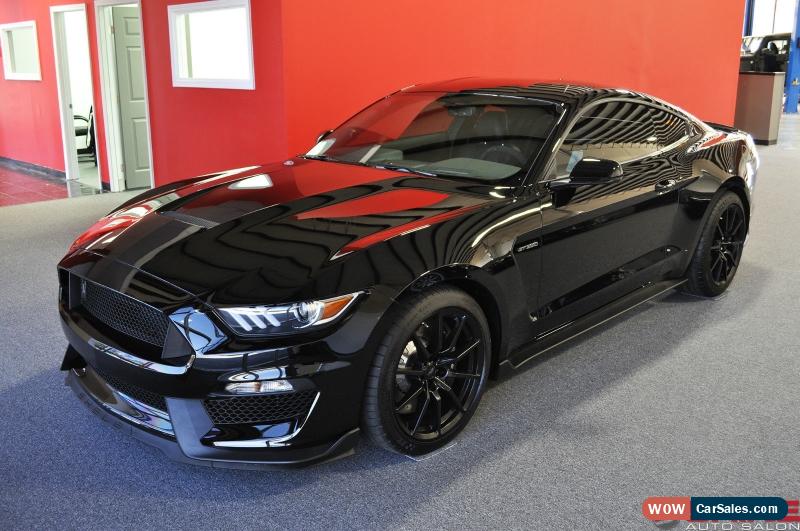 2016 Mustang amazing Color