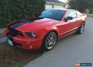 2009 Ford Mustang Shelby  for Sale