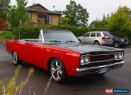 Plymouth: Road Runner for Sale