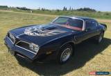 Classic Pontiac : Trans Am for Sale