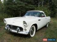 1956 Ford Thunderbird for Sale