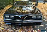 Classic 1977 Pontiac Trans Am more picture drop box link available for Sale