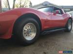 1979 Chevrolet Corvette for Sale