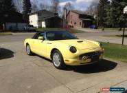 Ford: Thunderbird for Sale