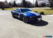 2007 Ford Mustang Shelby CS8 for Sale