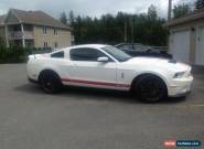 2011 Ford Mustang 2011 Ford Mustang Shleby GT500 for Sale