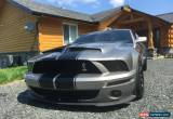 Classic 2008 Ford Mustang GT1000R  for Sale