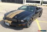 Classic 2007 Shelby Shelby GT-H for Sale