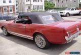 Classic 1966 Ford Mustang for Sale