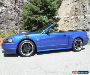Classic 2004 Ford Mustang for Sale