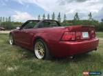 Ford: Mustang SVT Cobra for Sale