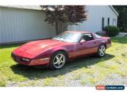 1984 Chevrolet Corvette for Sale