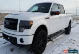 Classic 2013 Ford F-150 for Sale