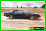 Classic 1981 Pontiac Trans Am for Sale