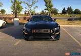 Classic 2016 Ford Mustang SHELBY GT350R for Sale