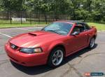 2002 Ford Mustang 2dr Convertible GT Deluxe for Sale