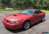 Classic 2002 Ford Mustang 2dr Convertible GT Deluxe for Sale