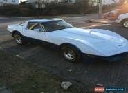 1981 Chevrolet Corvette for Sale