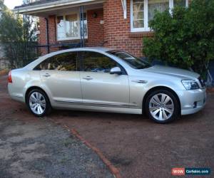 Classic HOLDEN CAPRICE WM V8 for Sale