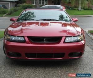 Classic 2004 Ford Mustang SVT Cobra for Sale