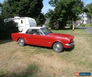 Classic 1964 Ford Mustang for Sale