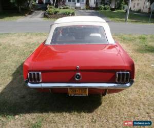 Classic 1964 Ford Mustang for Sale