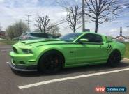 2013 Ford Mustang for Sale