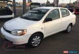 Classic 2000 Toyota Echo NCP12R White Manual 5sp M Sedan for Sale