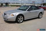 Classic 1999 Ford Mustang for Sale