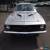 Classic Plymouth : Barracuda for Sale