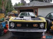 Ford: Mustang MACH 1 for Sale