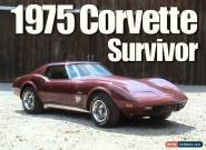 1975 Chevrolet Corvette for Sale