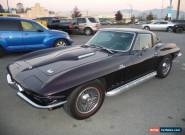 1966 Chevrolet Corvette for Sale