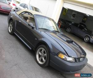 Classic 2001 Ford Mustang GT Convertible 2-Door for Sale