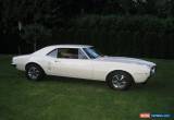 Classic Pontiac: Firebird for Sale