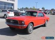 1967 Ford Mustang for Sale