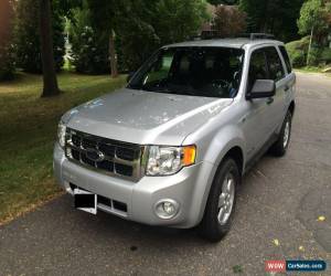 Classic Ford: Escape XLT for Sale