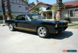 Classic 1966 Ford Mustang Shelby GT350 for Sale