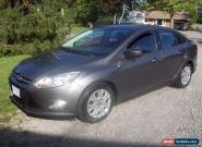 Ford: Focus SE for Sale