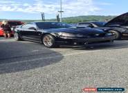 2003 Ford Mustang Mach 1 for Sale