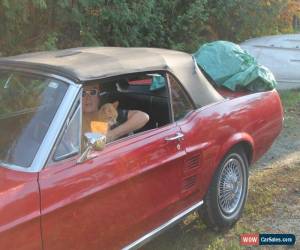 Classic Ford: Mustang convertible for Sale