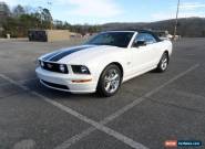 2008 Ford Mustang for Sale