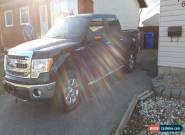 Ford: F-150 XLT for Sale