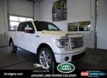 Ford : F-150 LIMITED for Sale