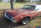 Classic 1971 Buick Skylark for Sale