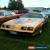 Classic 1979 Pontiac Trans Am for Sale