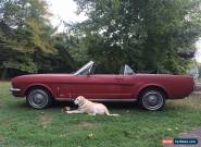 1966 Ford Mustang convertible for Sale