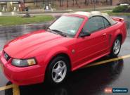 2004 Ford Mustang Base Convertible 2-Door for Sale