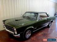 1965 Pontiac GTO NO RESERVE for Sale